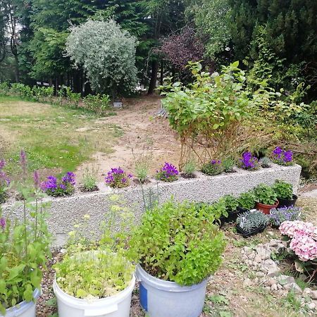 Robinhill Garden Hotell Forres Eksteriør bilde